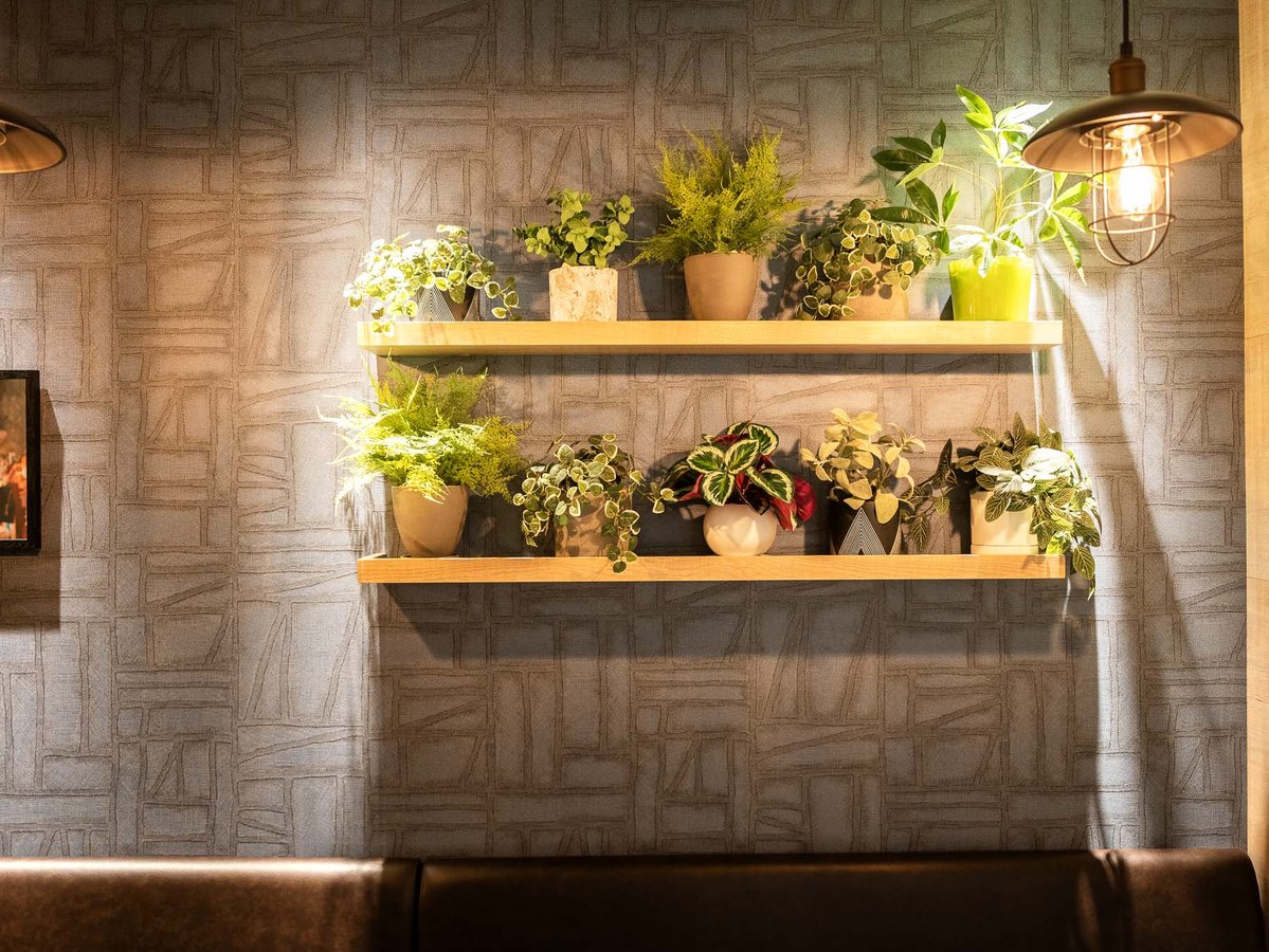 グリーンに囲まれて癒しのひと時を♪