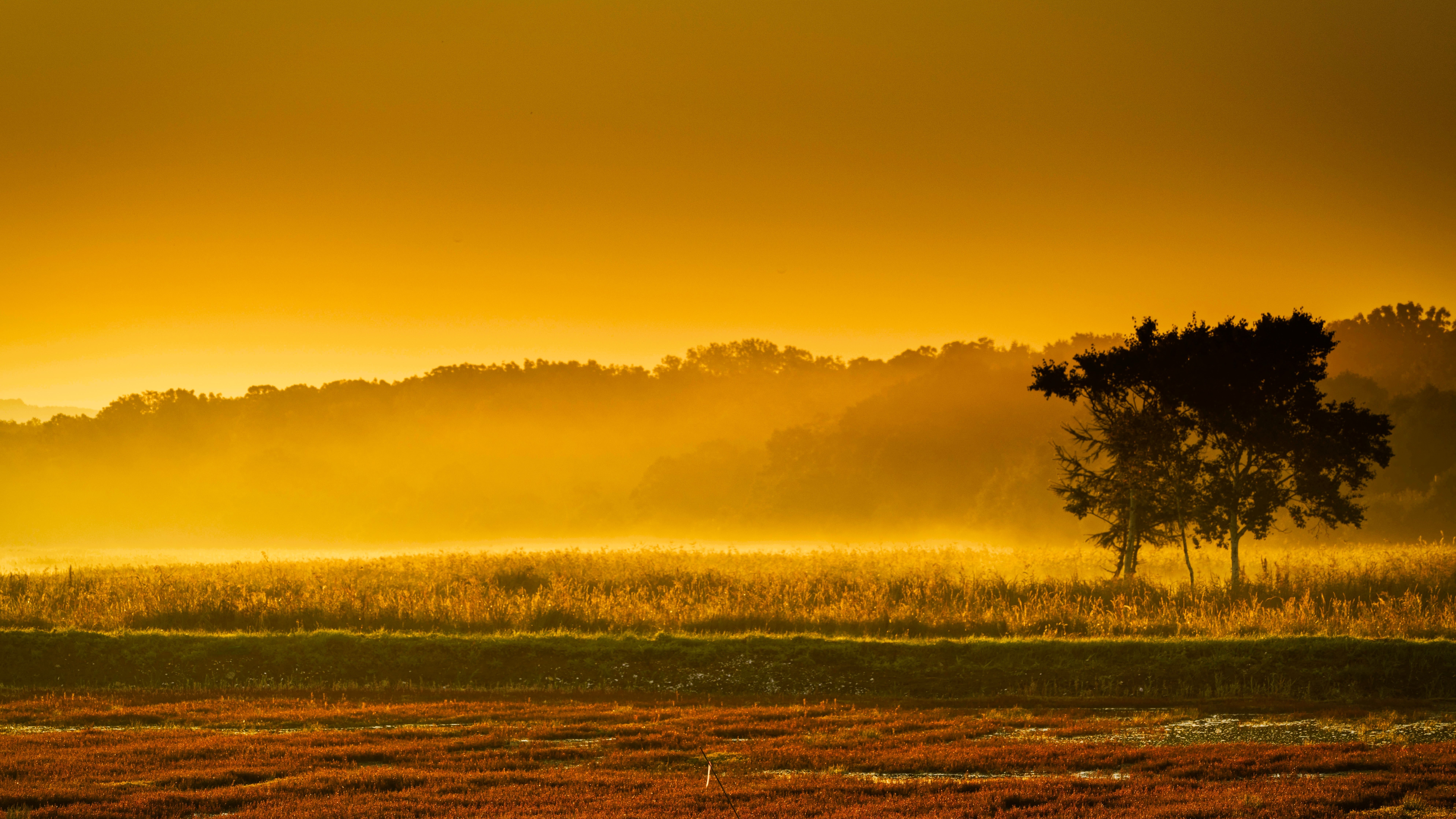能取湖サンゴ草（一社）網走市観光協会