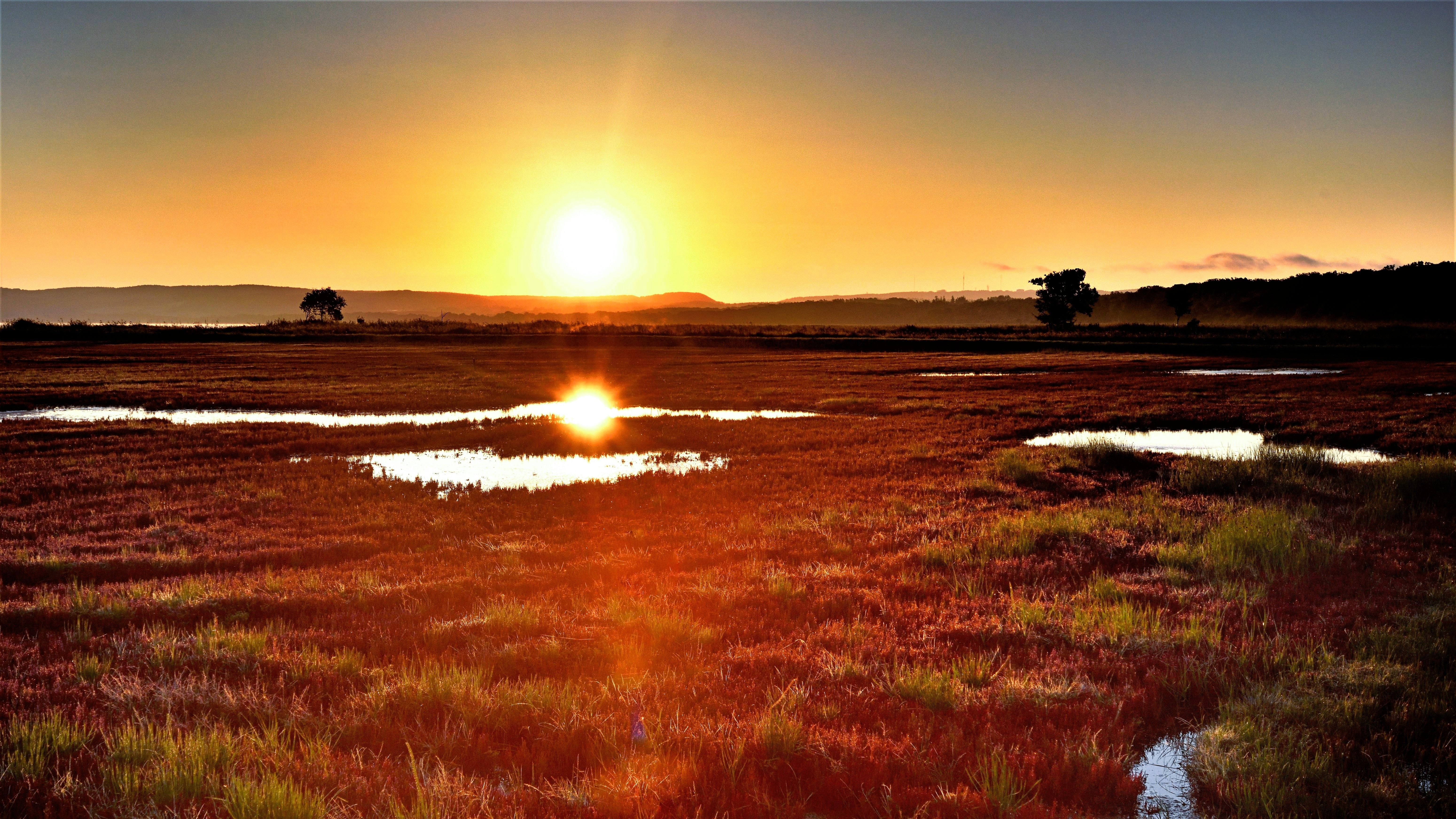 能取湖サンゴ草（一社）網走市観光協会