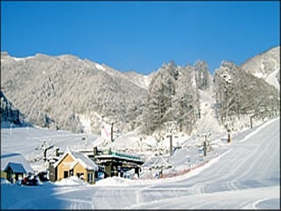 ♪♪スキー場割引チケット＆無料送迎付き♪♪　冬のおすすめプラン