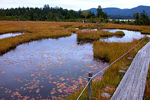 尾瀬ヶ原・紅葉ー３