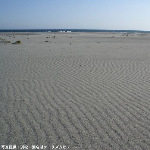 中田島砂丘