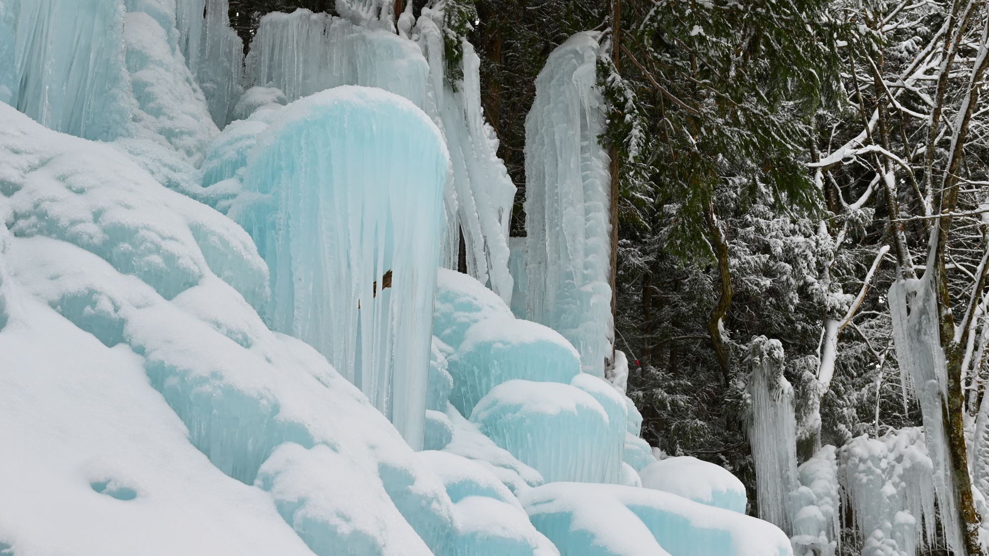 *たるまの滝～飛騨高山の冬絶景～（当館より車で１分）