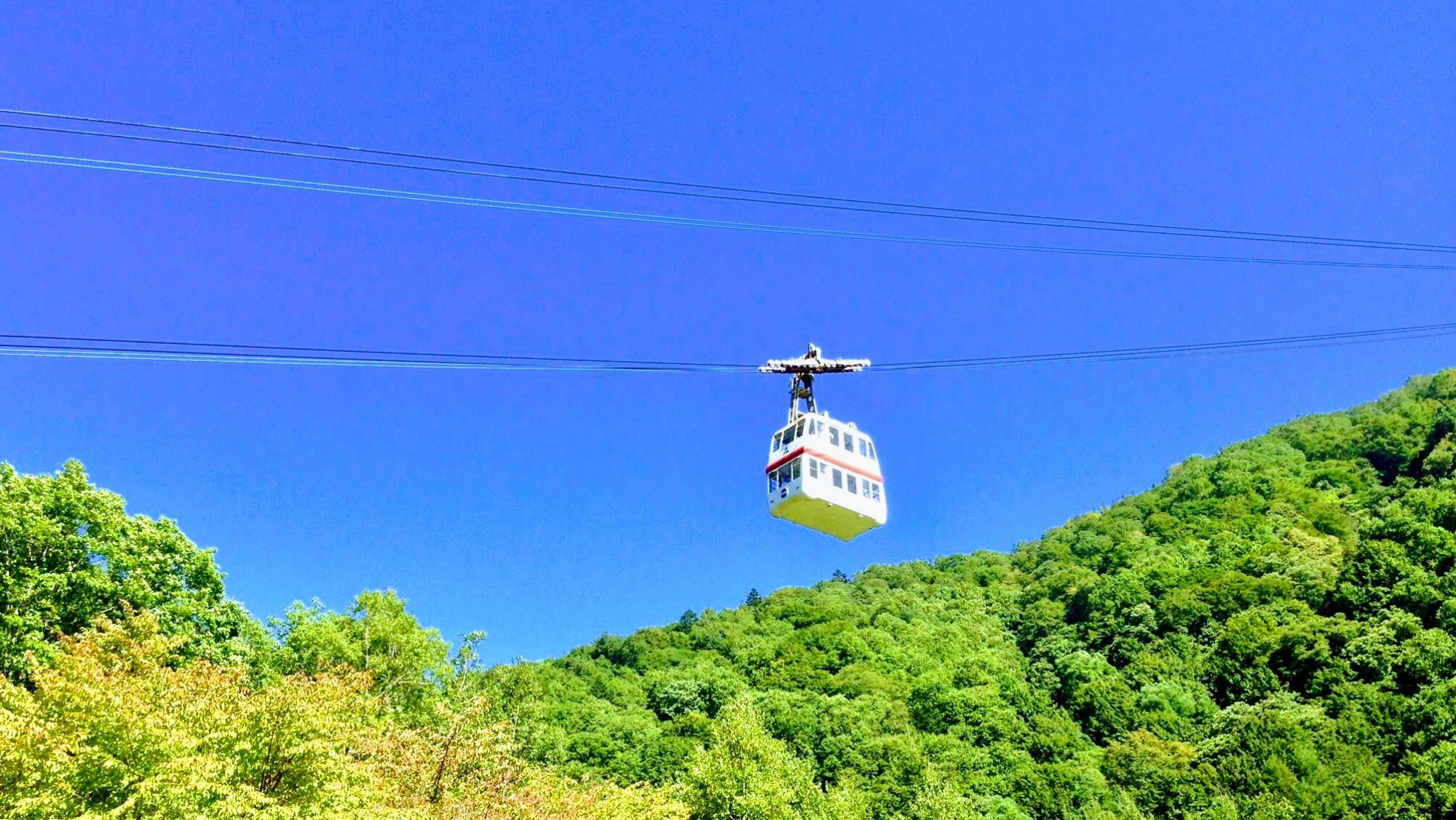 *新穂高ロープウェイ（当館より車で13分）