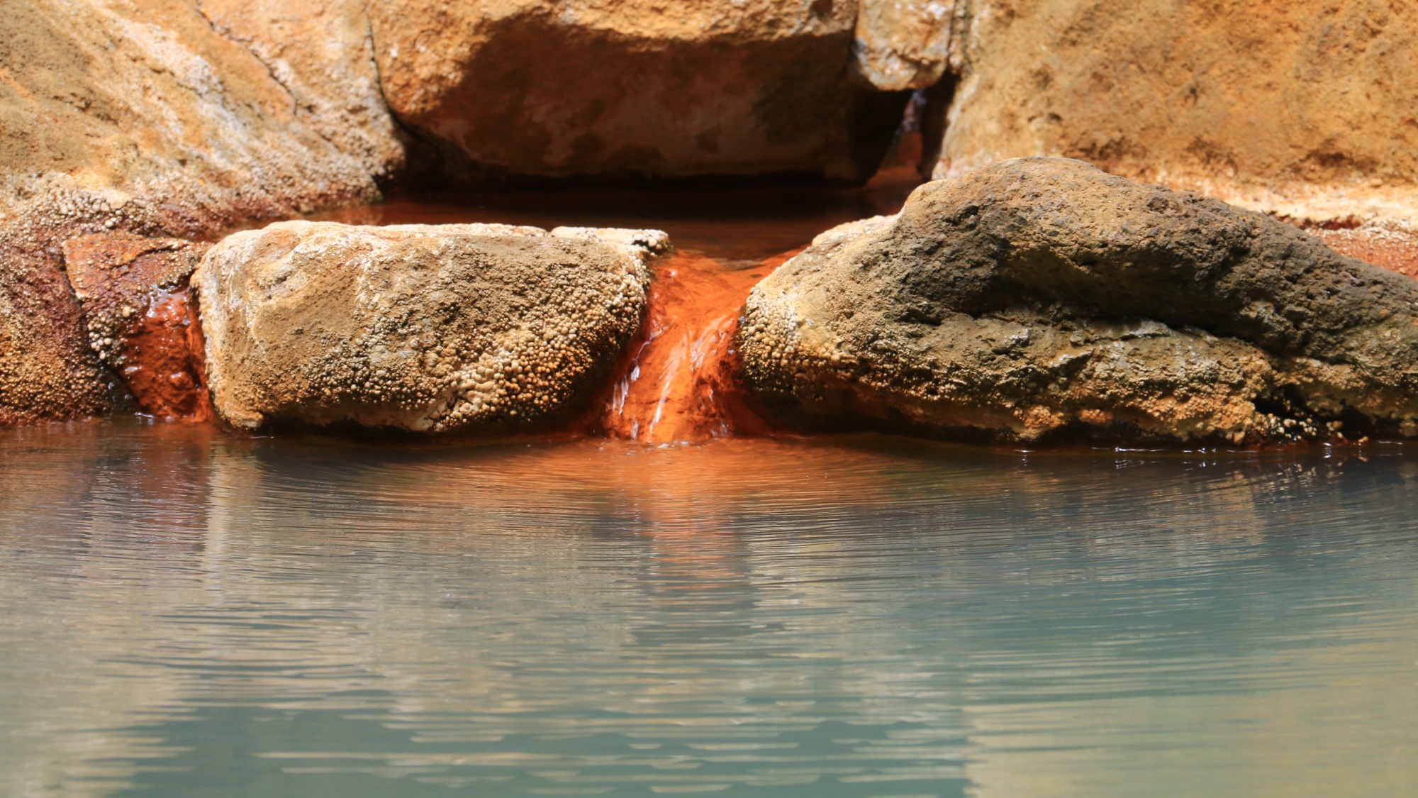 【温泉】貸切露天（もみじの湯）