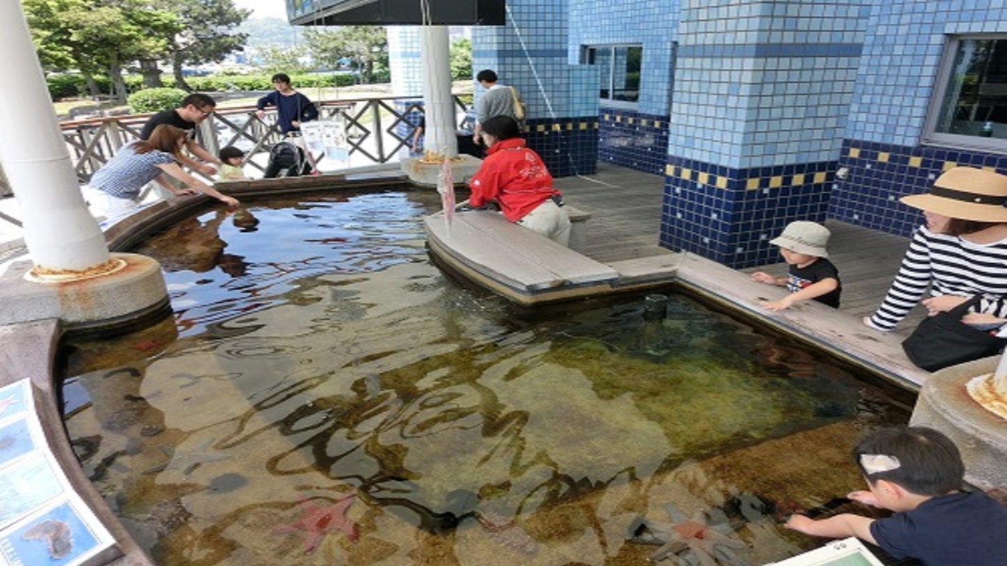 【水族館入場券付き】いおワールドで鹿児島の海を満喫プラン