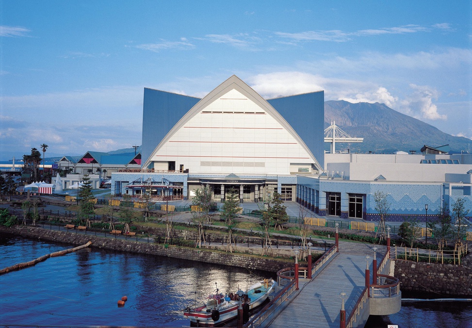 【水族館入場券付き】いおワールドで鹿児島の海を満喫プラン