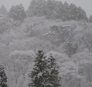 水墨画のような雪化粧