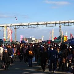 八戸舘鼻岸壁朝市