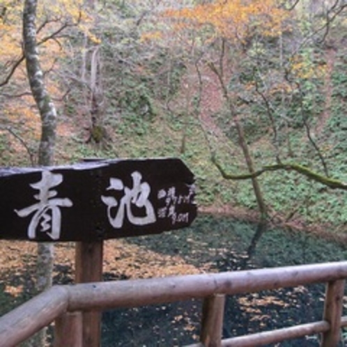 世界遺産白神山地　十二湖