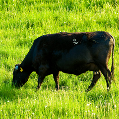 サフィールホテル稚内 写真・動画【楽天トラベル】