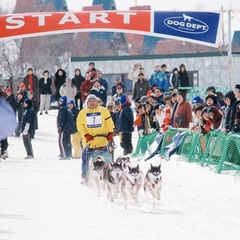 犬ぞり大会　JapanCup