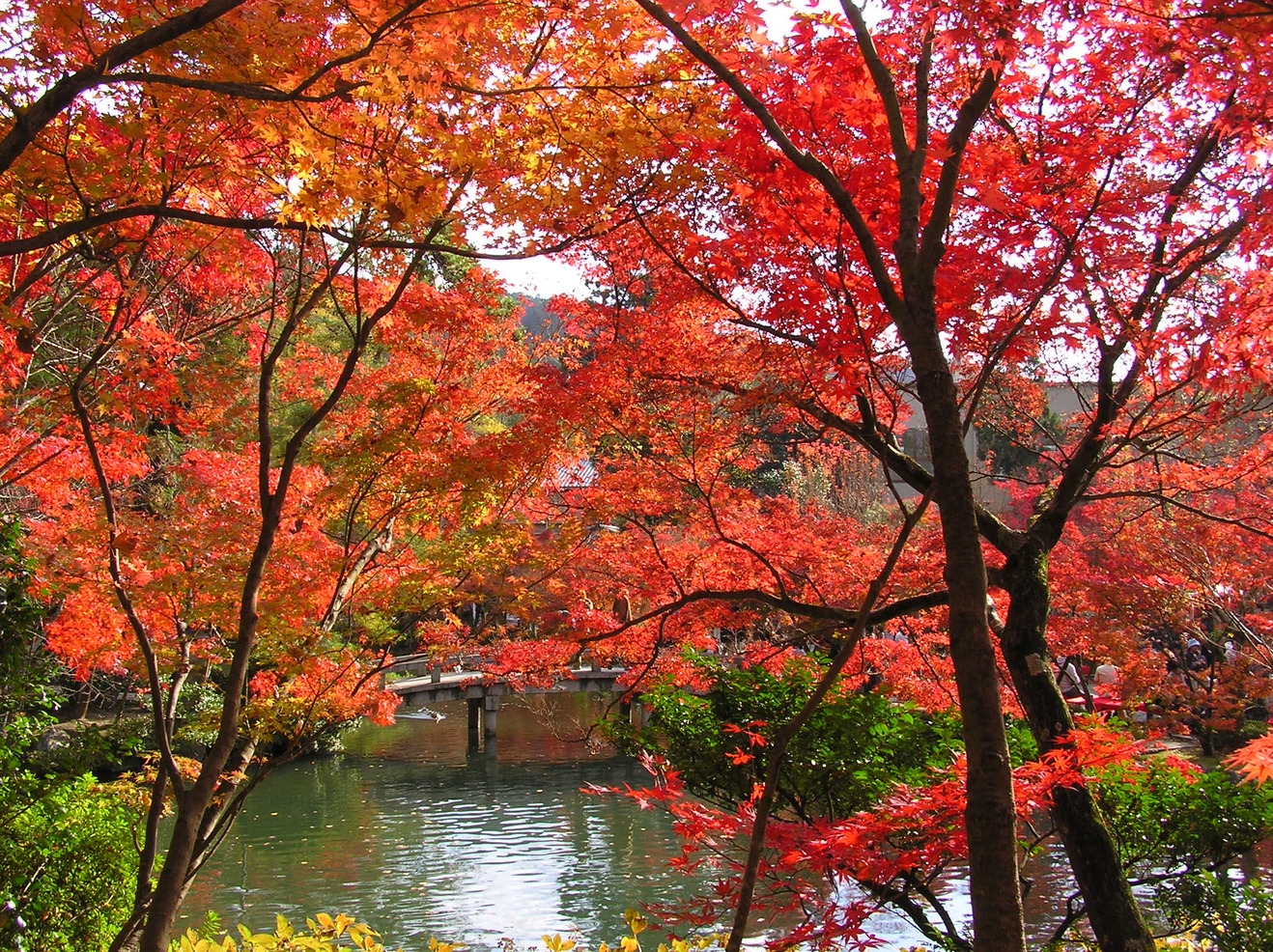 ◆◇秋旅で情緒あふれる京都！彩り豊かな紅葉を満喫♪＜素泊＞◇◆