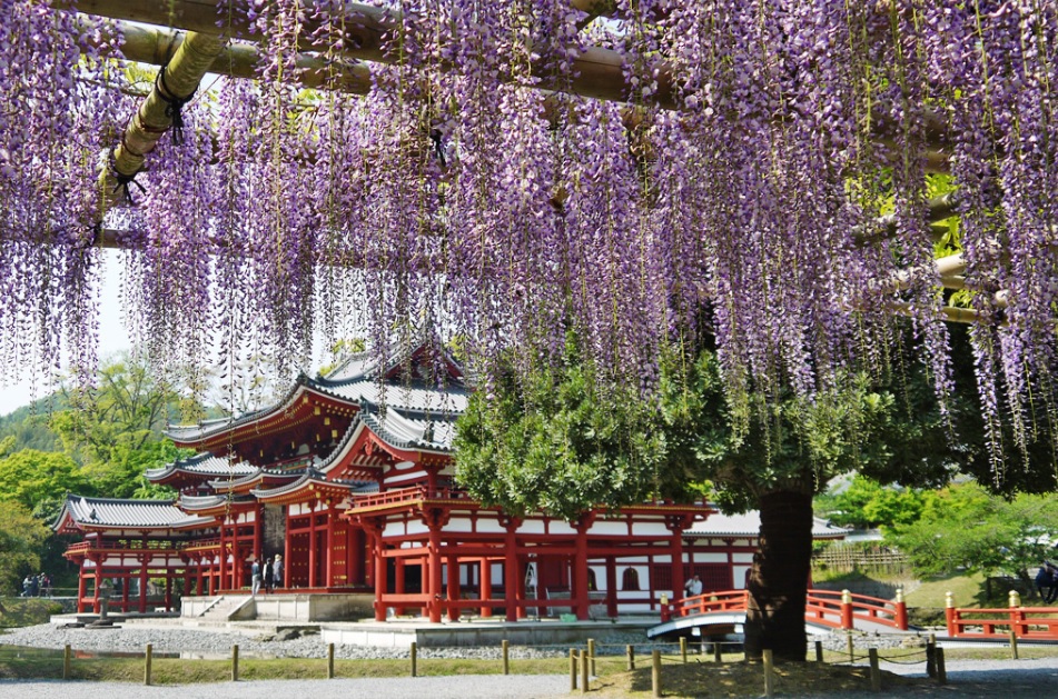 【GW】京都ですごすゴールデンウィーク☆家族や友達とLet’ Enjoy♪＜素泊＞