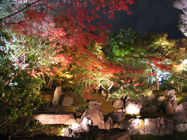 ◆◇秋旅で情緒あふれる京都！彩り豊かな紅葉を満喫♪＜素泊＞◇◆