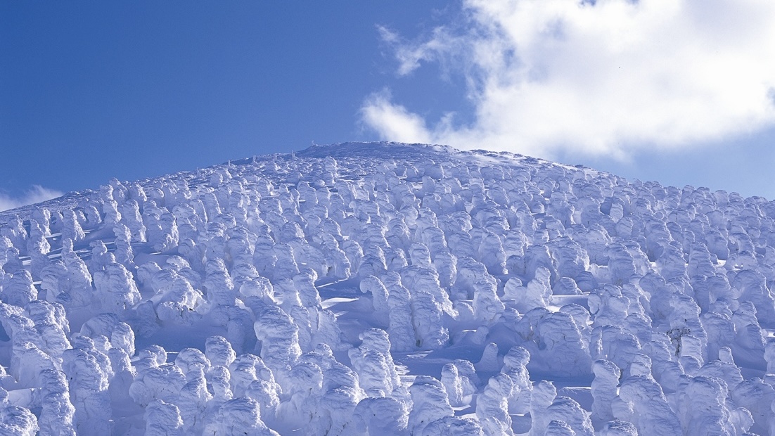 ◆観光◆蔵王　樹氷＊ホテルからお車で約1時間