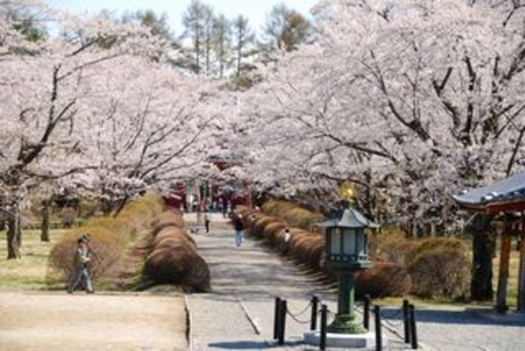 桜咲く聖光寺