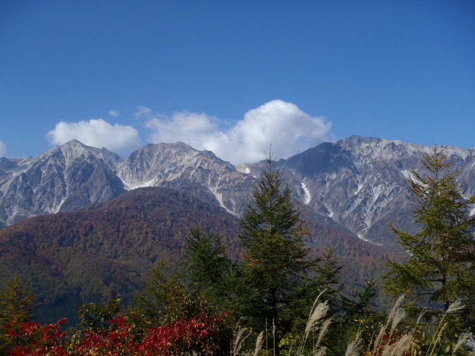 写真2