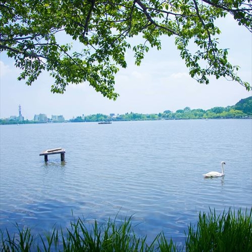 -千波湖-周囲約3.000メートル。広大な千波湖は季節毎に姿を変え、訪れる人の心を満たします。