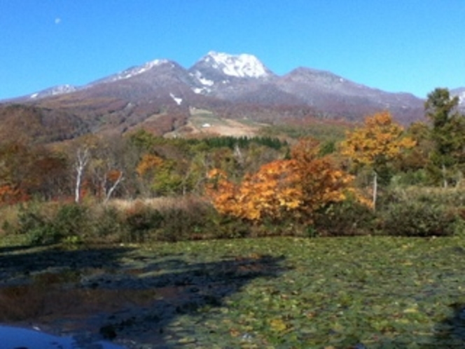 紅葉と冠雪の妙高山