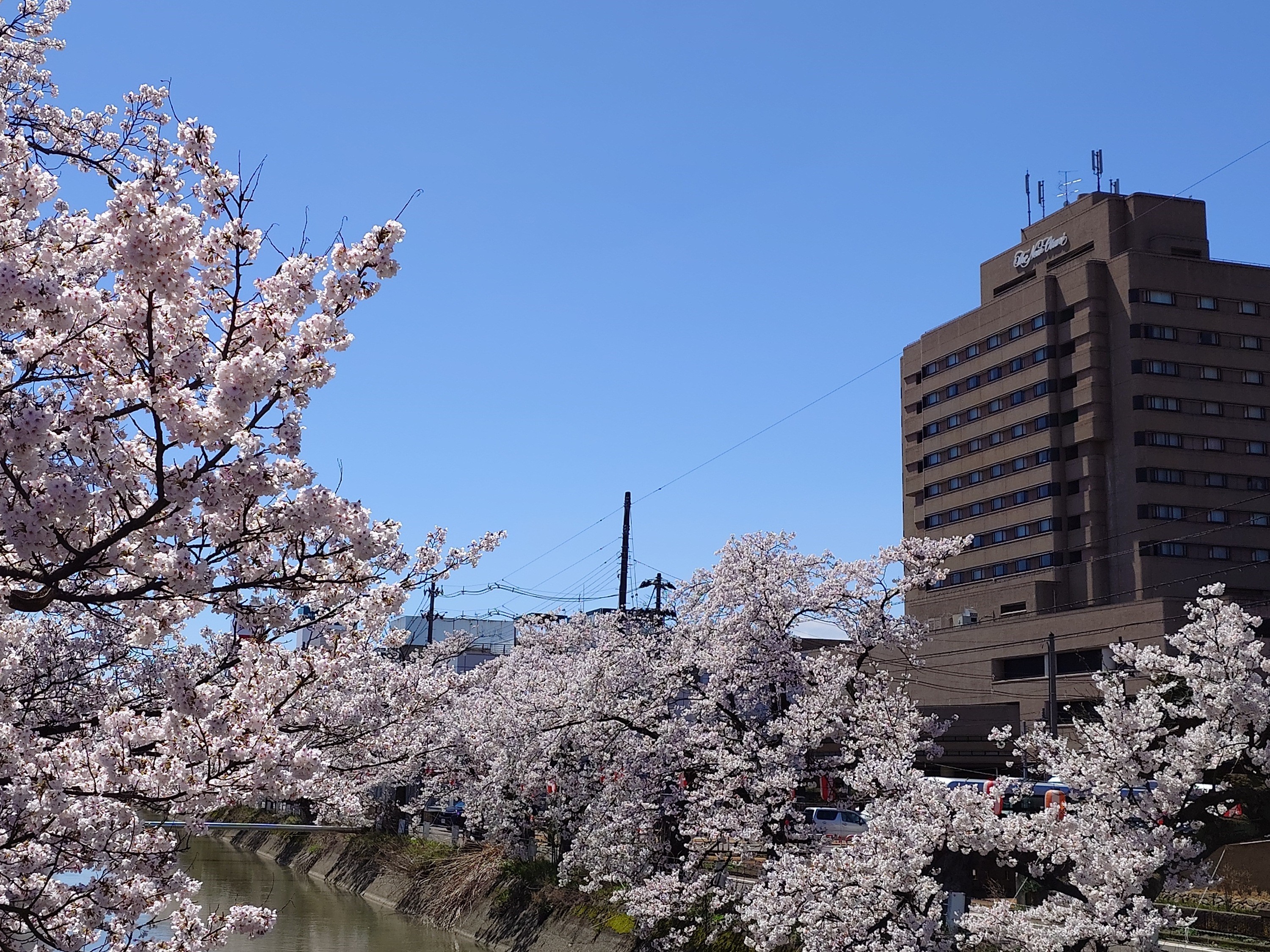 春の福島江からの外観