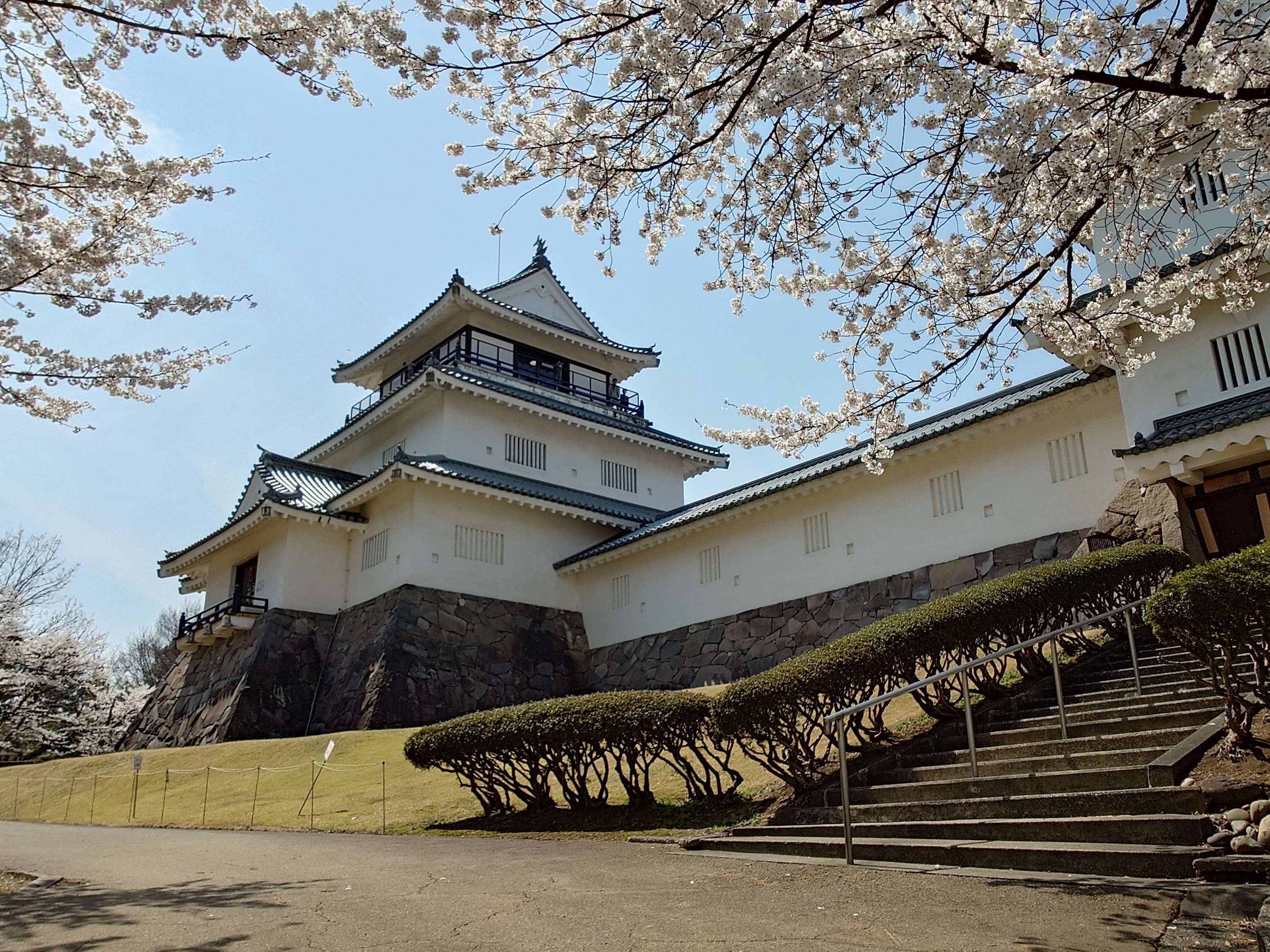 悠久山公園