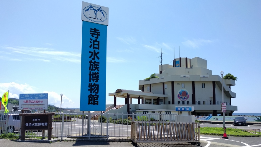 寺泊水族博物館