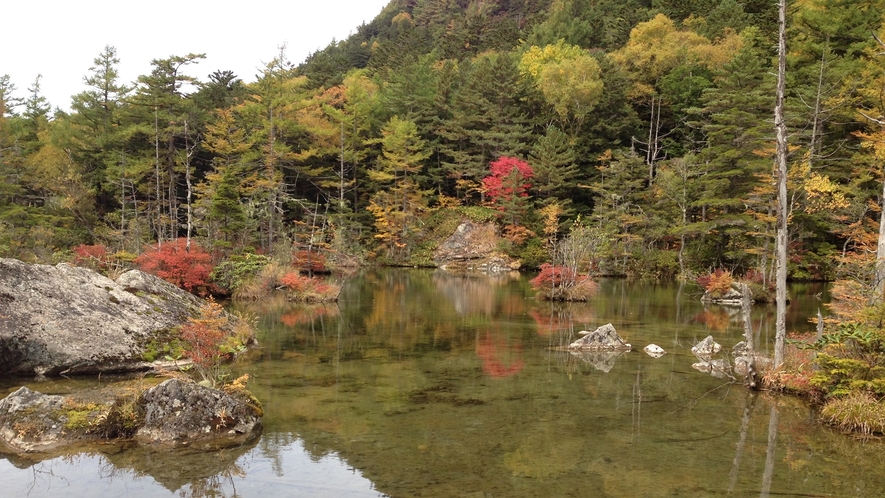 *≪上高地　明神池≫10月上旬～10月下旬が例年の紅葉の見頃です。