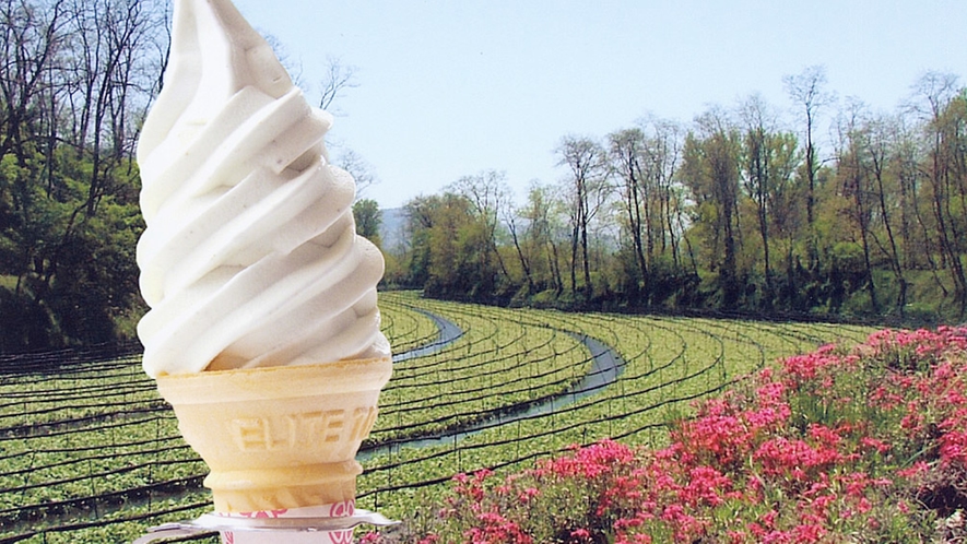 *[山葵畑]大王わさび農場のソフトクリームは大人気！