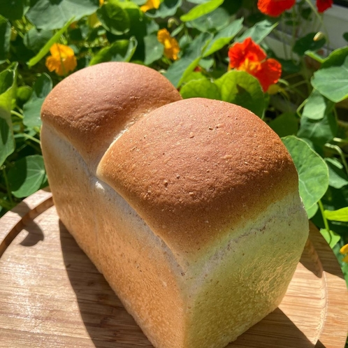 国産小麦粉使用の手作り天然酵母パン