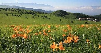 【夏休み限定プラン】車山山頂ハイキング×朝夕食バイキング付き