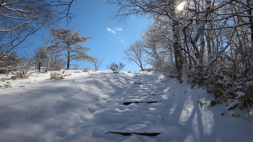 冬のビーナスラインでは雪装備必須