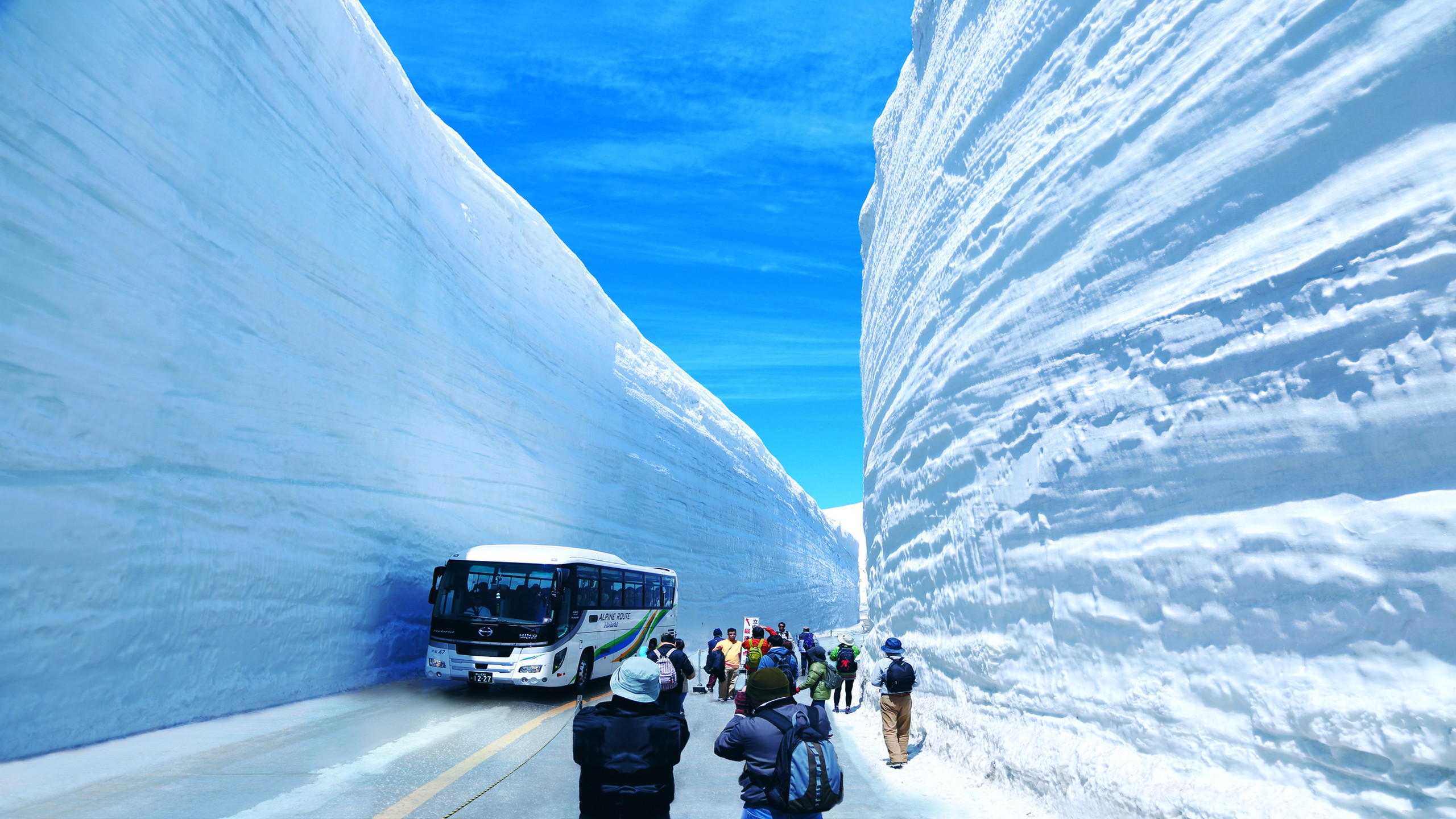 雪の大谷　実際に歩いてみましょう。【写真提供:（公社）とやま観光推進機構】