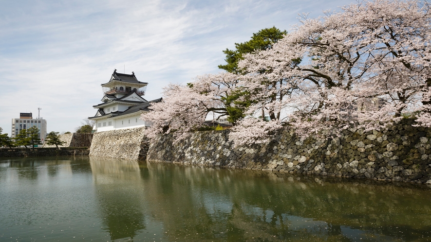富山城と桜のコラボレーション【写真提供:（公社）とやま観光推進機構】