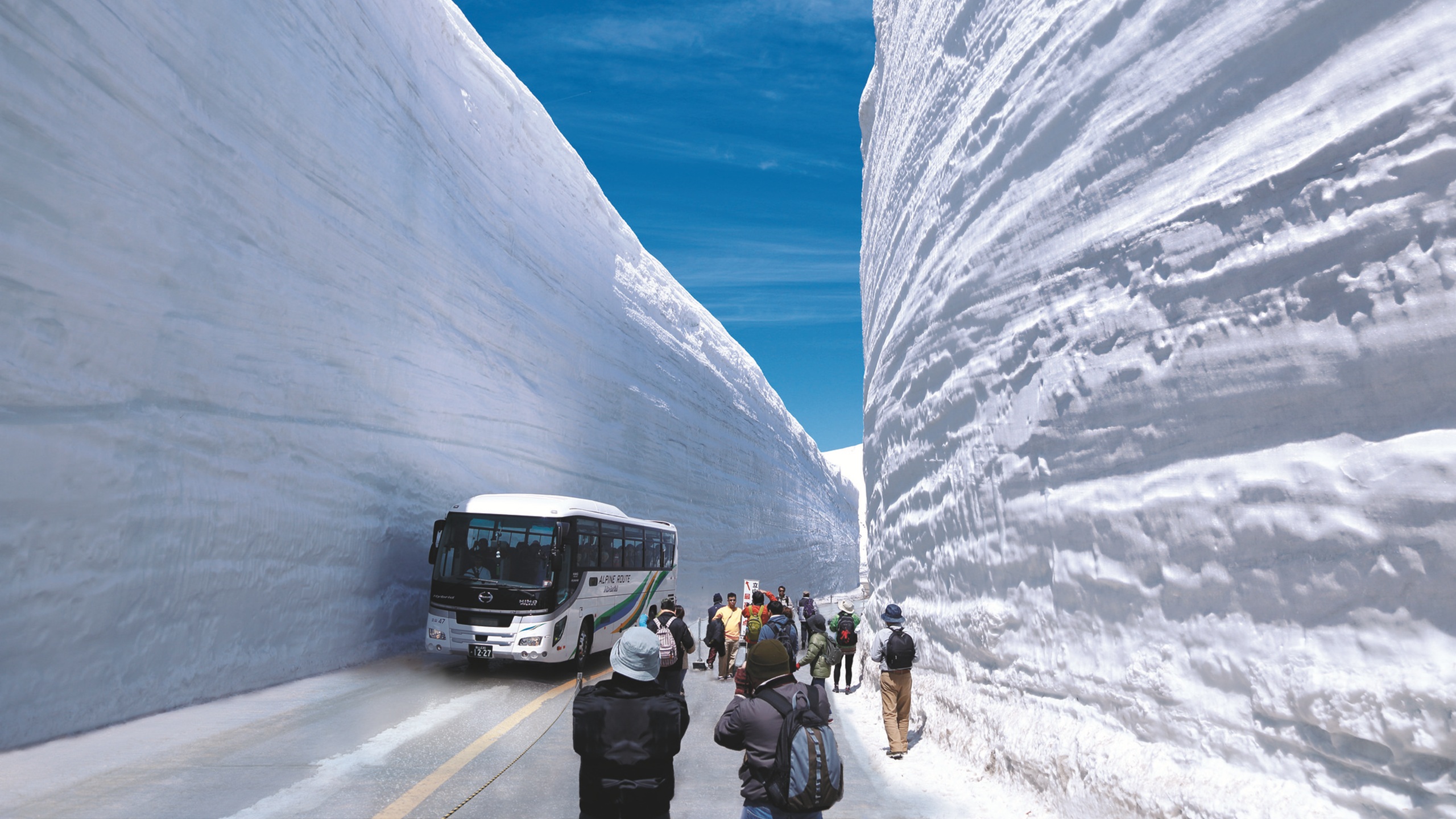立山黒部アルペンルート『雪の大谷』（立山高原バス）【画像提供：富山県】