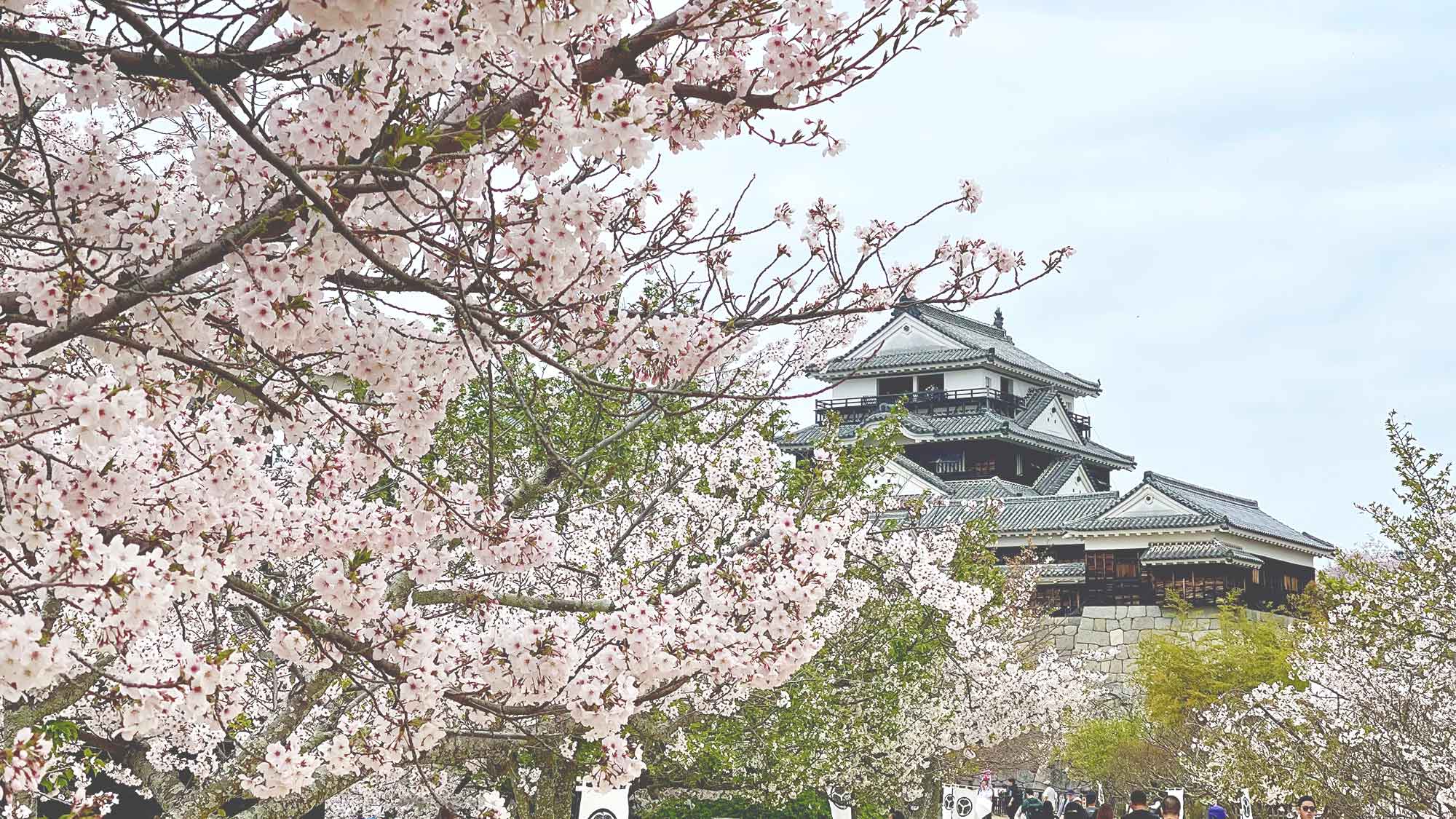 松山城