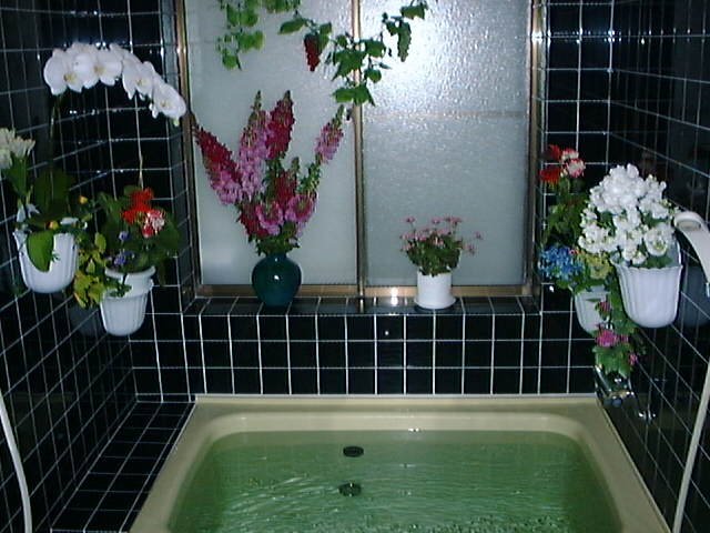 Indoor bath