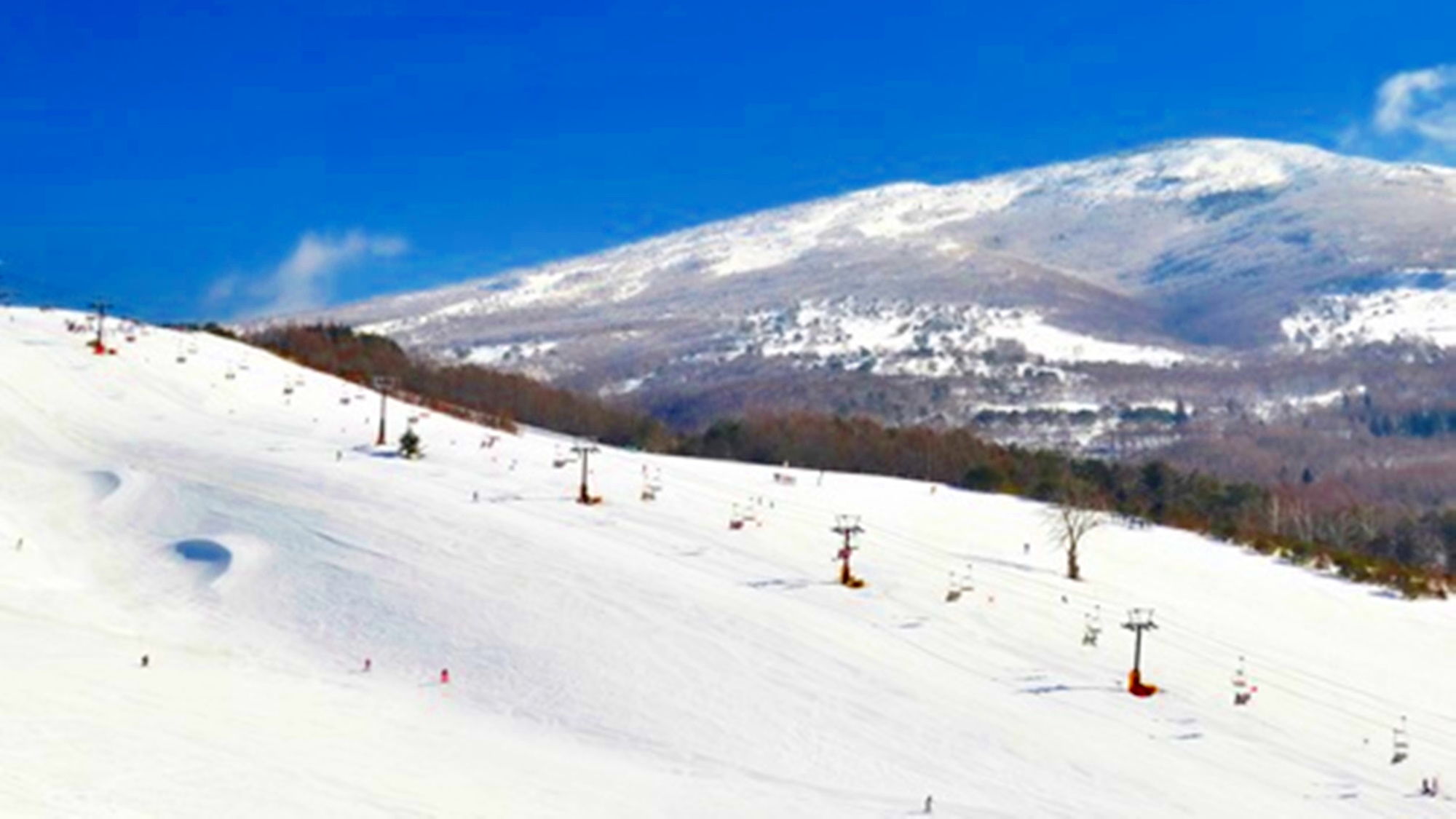 **【表ダボスゲレンデ】全60コースのビックゲレンデまで徒歩1分！