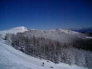 エコーバレー山頂付近