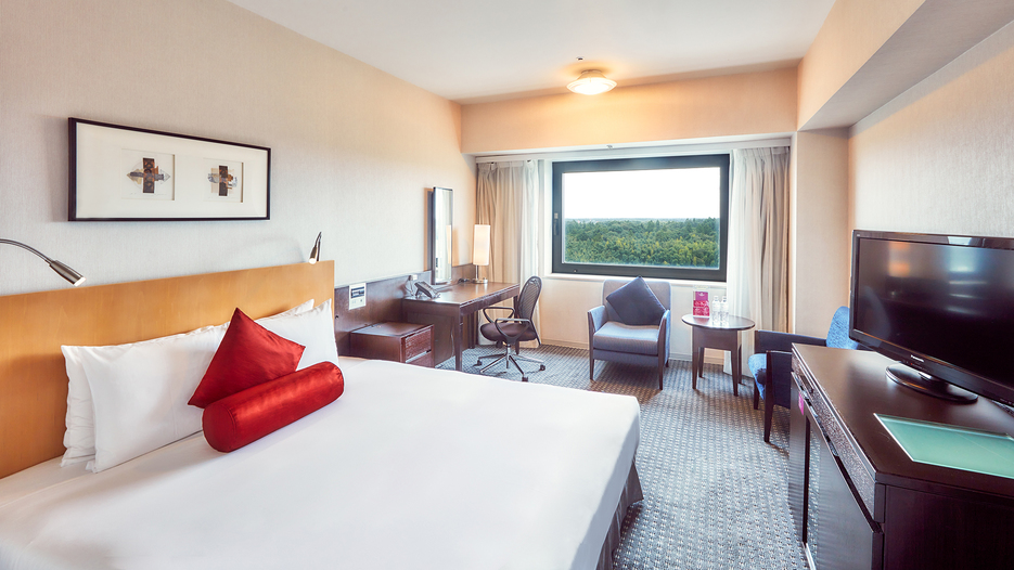 1キング　スタンダード　ハイフロア　エアポートビュー（29㎡）