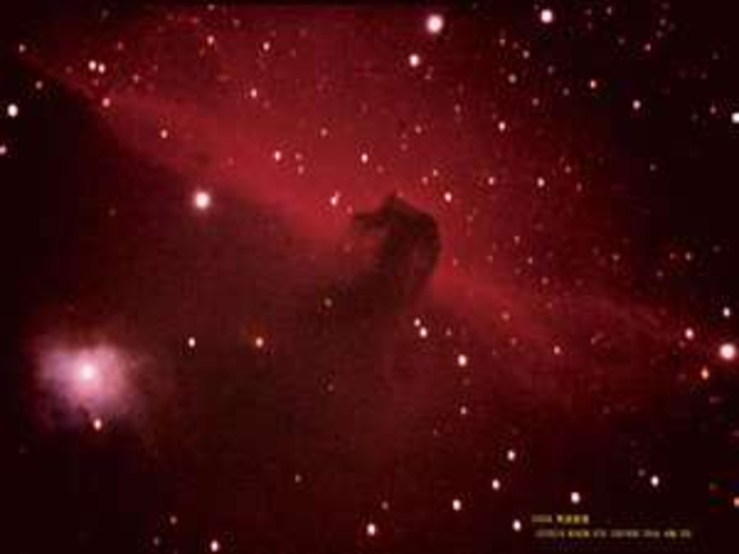IC434 馬頭星雲 (オーナー撮影)