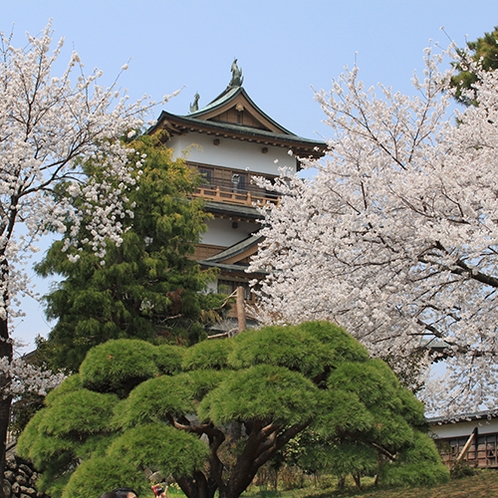 【周辺】高島城周辺は桜の名所ともなっており、毎年多くの人で賑わいます。
