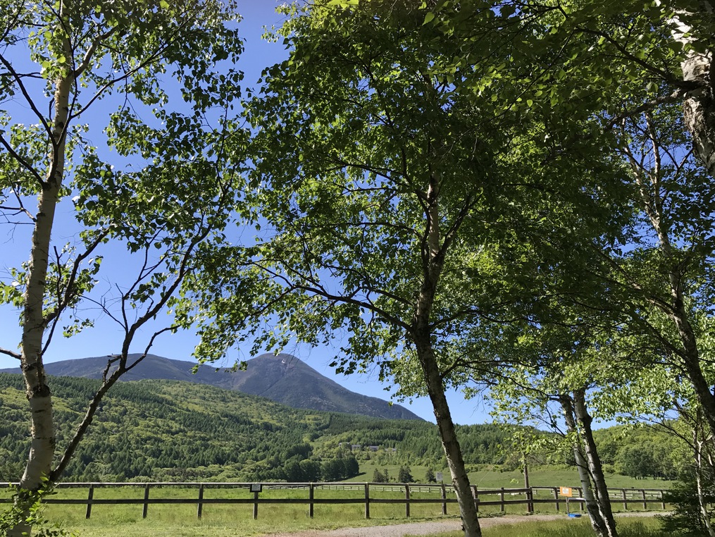【１日３組】五感で味わう本格フランス料理ディナーとリニュールした客室で寛ぐ　２食付きグルメ宿泊プラン