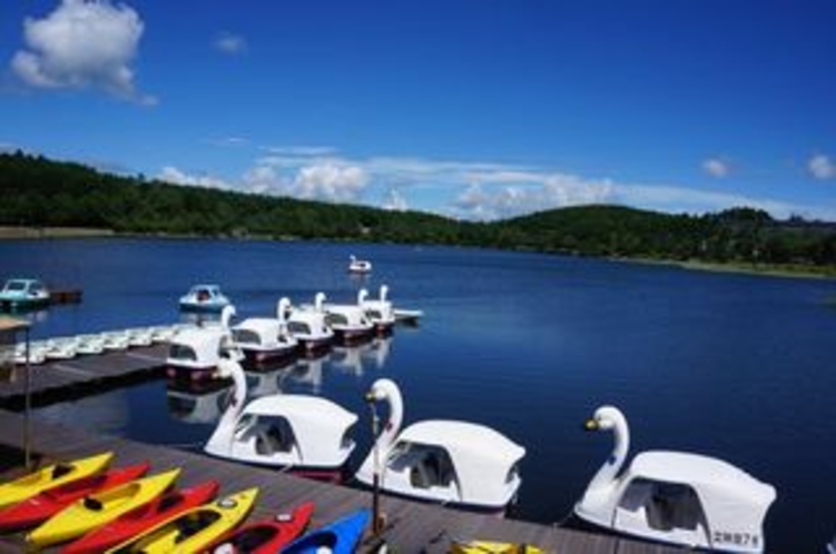 女神湖ではボート・白鳥・カヤックも楽しめます