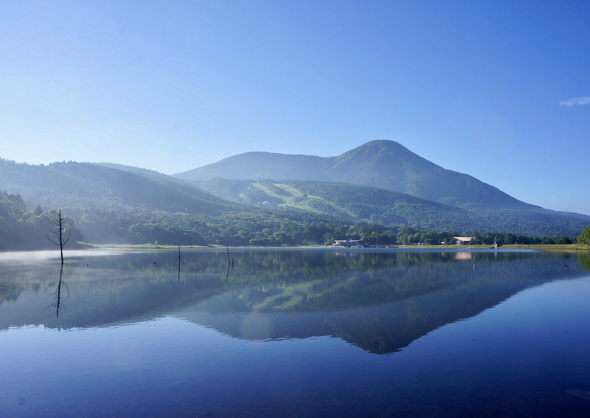 春夏　女神湖と蓼科山