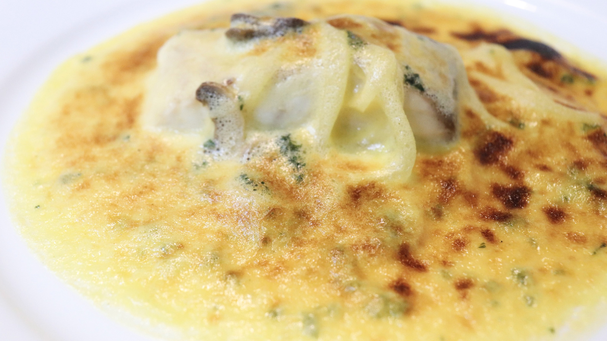 ・【料理イメージ】ヒラメのボンファム。濃厚なクリームソースが優しい味わいに