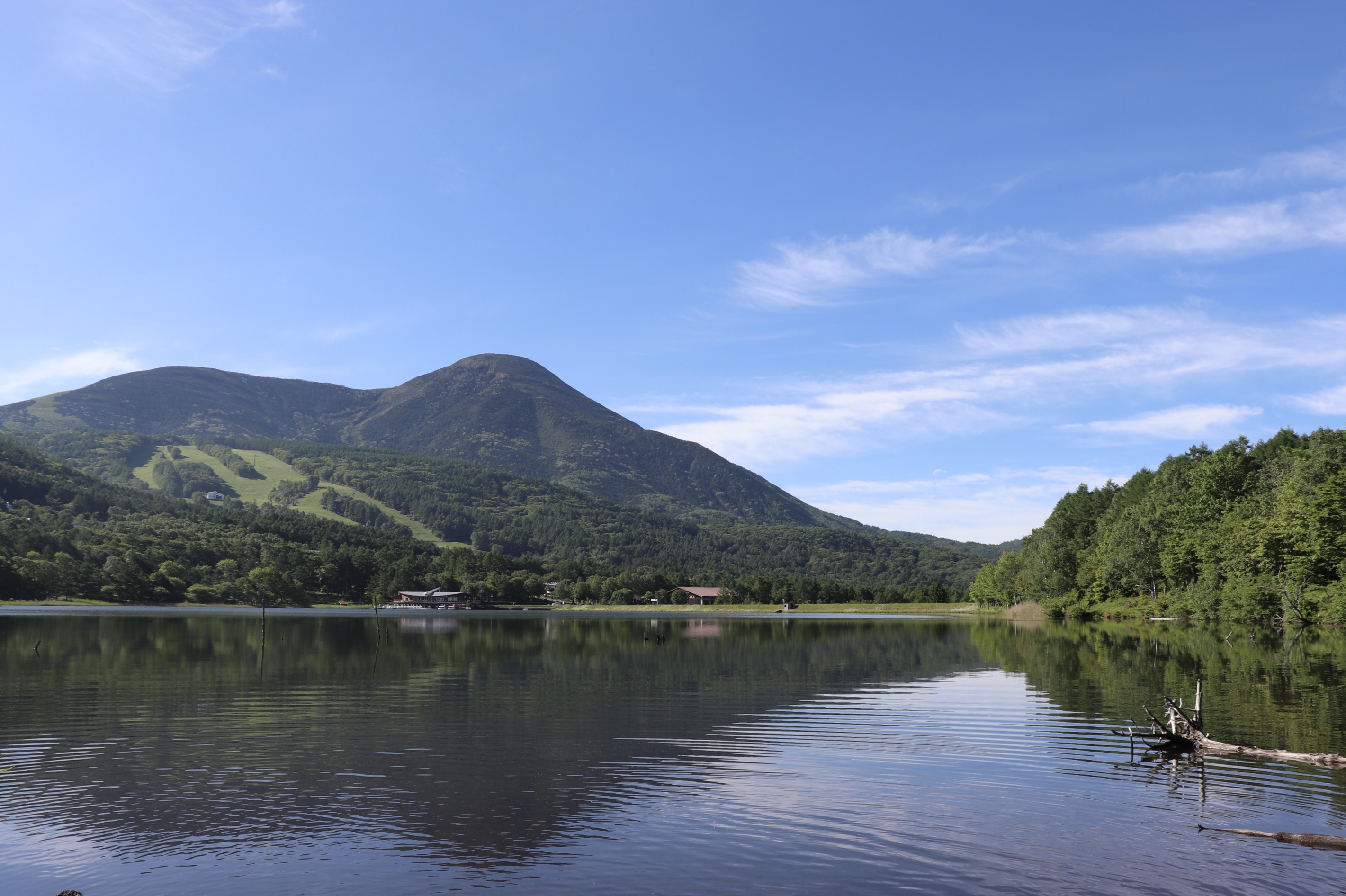 女神湖と蓼科山　初夏
