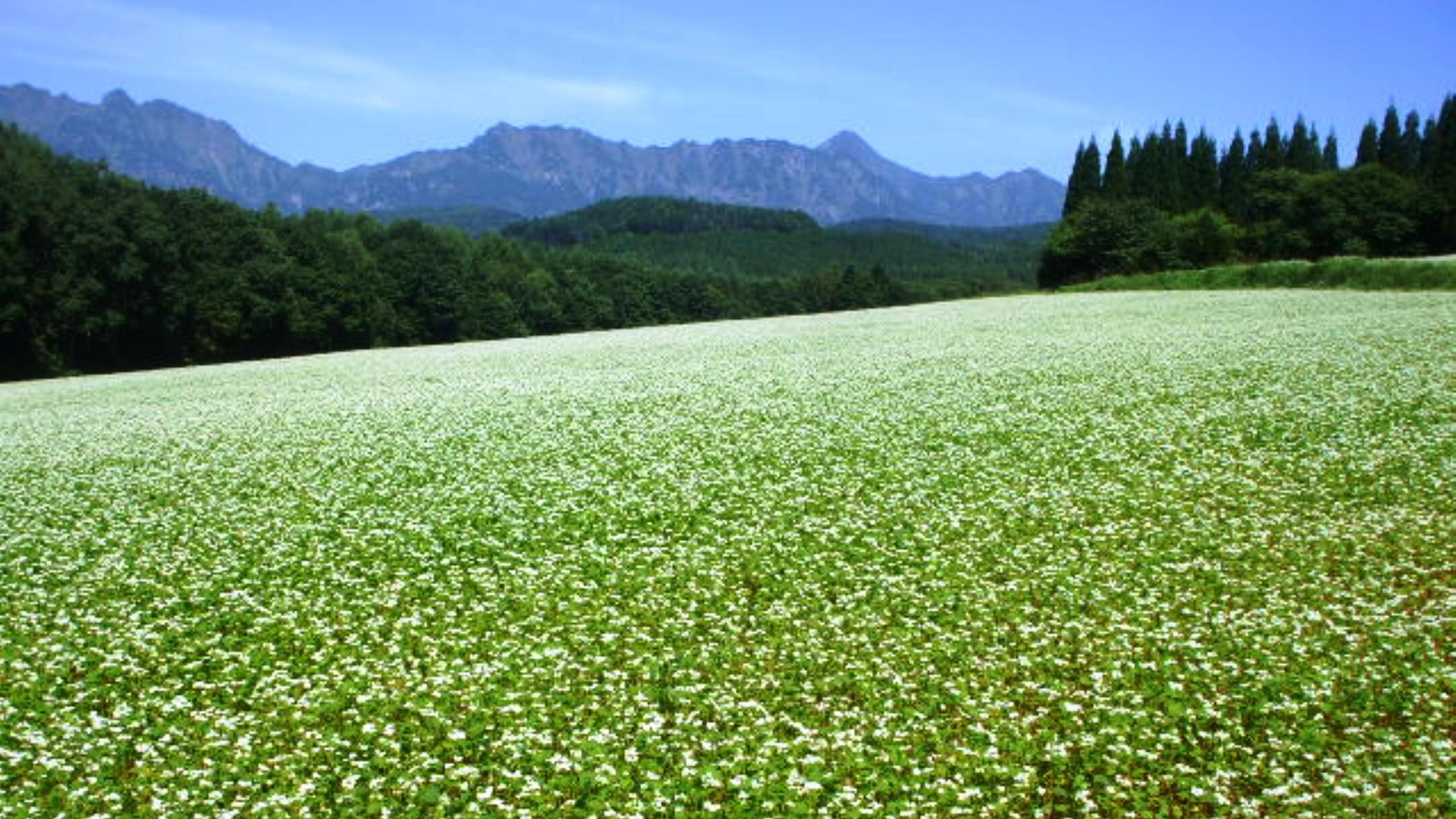 【素泊まり】気軽に自由に戸隠観光♪自然豊かな戸隠でリフレッシュ。