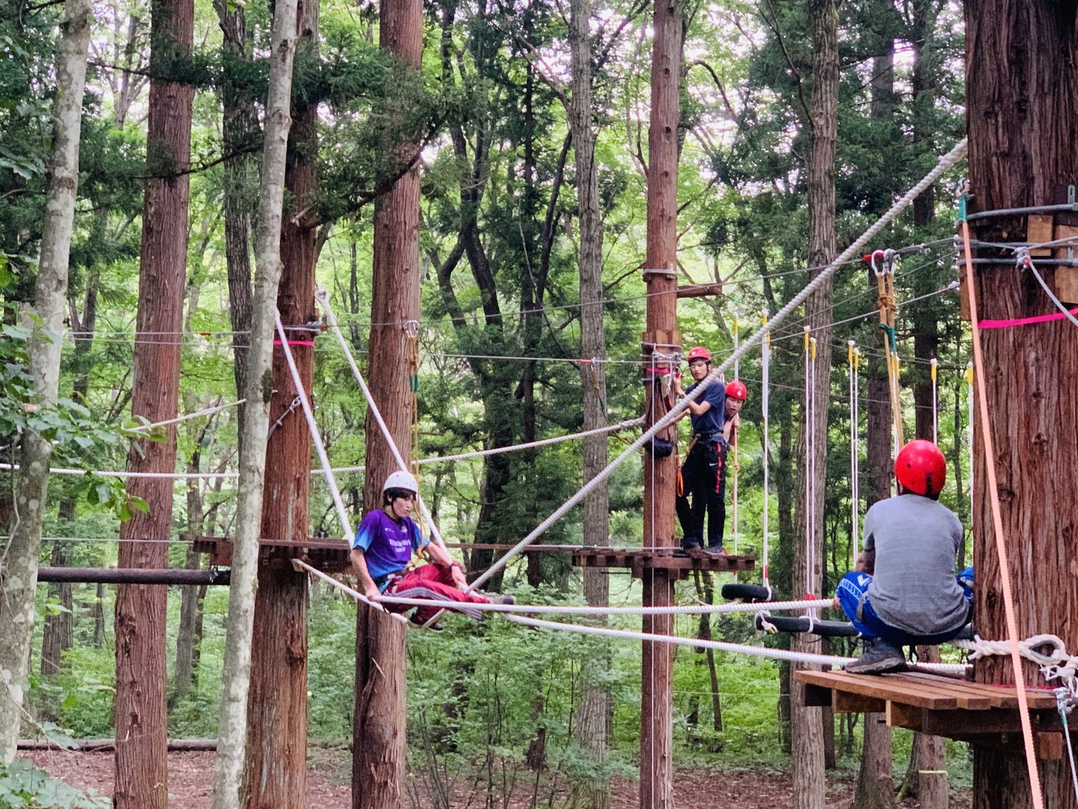 【ハイロープコース体験付】スリル満点！樹上7mからの景色を楽しもう（素泊まり）
