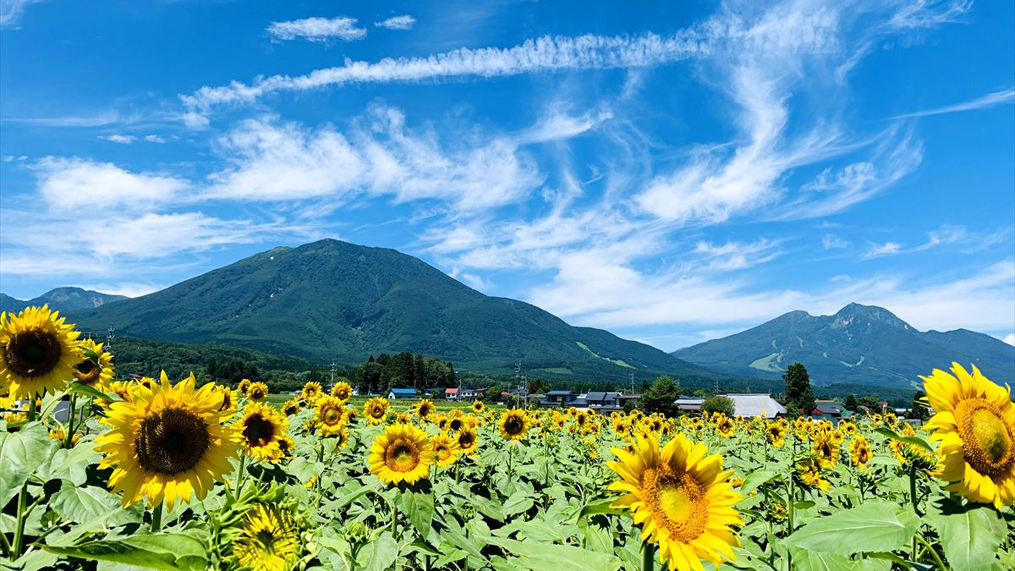 【夏の景色】